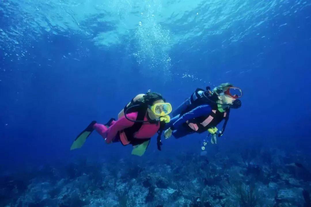 0713现身春晚彩排,上春晚不再是一句梗,蔡可云王铮亮果然靠谱